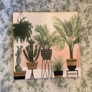 Plants and Pots Greenery Garden Costers set of 4, NWT Cork Ceramic